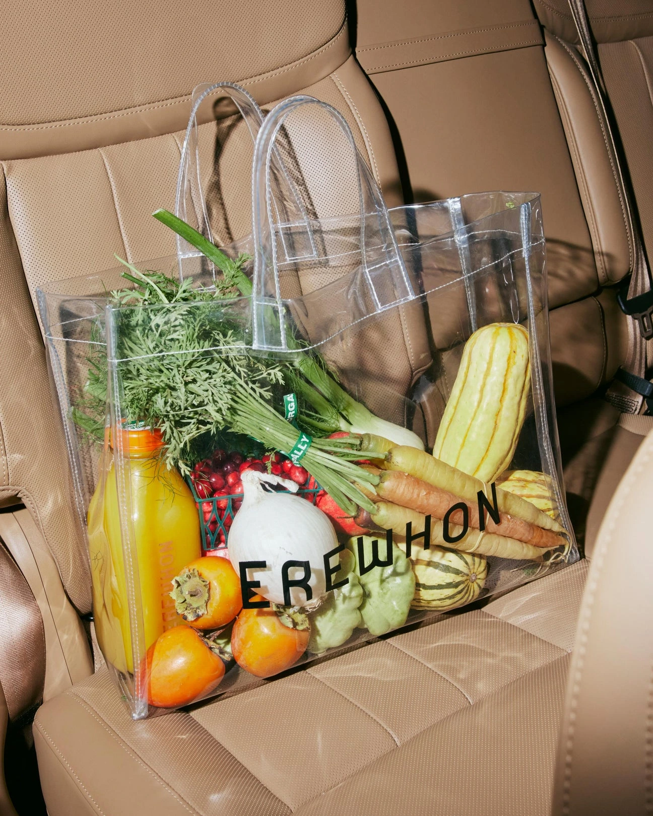 Elevate Your Daily Wellness Ritual